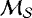 $\mathcal{M_S}$