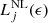 $ L_j^{\rm NL}(\epsilon) $