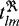 $t_{lm}^{\Re}$