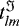 $t_{lm}^{\Im}$