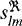 $s_{lm}^{\Re}$