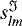 $s_{lm}^{\Im}$