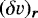 $(\delta v)_{ {\bm r}}$