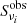 $ S_{\nu_i}^{\rm obs} $