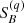 $ S_{B}^{(q)} $