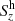 $ S_z^{\rm h} $