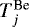 $T^{\textrm{Be}}_{j}$