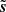 $ \tilde{\boldsymbol{s}} $