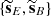 $ \{\widetilde{\mathbf{s}}_E, \widetilde{\mathbf{s}}_B\} $