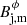 $ B_{\rm j,m}^\phi $