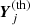 $ \boldsymbol{Y}_j^{\rm (th)} $