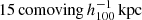 $ 15 \, \mathrm{comoving} \, h_{100}^{-1}\,\mathrm{kpc} $