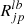 $ R_{jp}^{lb} $