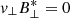 $ \mathit{v}_{\perp} B_{\perp}^{*} =0 $