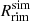 $ R_{\mathrm{rim}}^{\mathrm{sim}} $