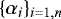 $\{\alpha_i\}_{i=1,n}$