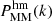 $ P^{\mathrm{hm}}_{\mathrm{MM}}(k) $
