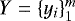 $Y=\{y_i\}_1^m$