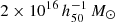 $ 2 \times 10^{16}\,h_{50}^{-1}\,M_{\odot} $