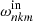 $ \omega_{nkm}^{\mathrm{in}} $