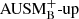 $ {{\text{AUSM}^{+}_\text{B}\text{-up}}} $