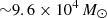 $ {\sim}9.6\times10^{4}\,{M}_{\odot} $