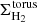 $ \Sigma_{\rm H_2}^{\rm torus} $