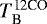 $T_{\textrm{B}}^{\textrm{12CO}}$