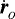 $\dot{\boldsymbol{r}}_{_O}$