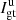 $ I_{{\rm{gt}}}^{\rm{u}} $