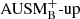 $ {{\rm AUSM}^{+}_{\rm B}\text{-up}} $