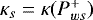 $\kappa_s=\kappa(P^+_{ws})$