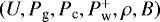 $(U,P_{\textrm{g}},P_{\textrm{c}},P_{\textrm{w}}^+,\rho,B)$