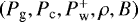 $(P_{\textrm{g}},P_{\textrm{c}}, P_{\textrm{w}}^+,\rho,B)$
