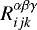 $R_{ijk}^{\alpha \beta \gamma}$