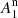 $ A_1^{\rm n} $