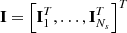 $ \mathbf{I}=\left[\mathbf{I}_1^T,\ldots,\mathbf{I}_{N_s}^T\right]^T $
