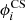 $ \phi_{i}^{\mathrm{CS}} $