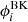 $ \phi_i^{\rm BK} $