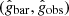 $ (\hat{g}_{\mathrm{bar}} ,\hat{g}_{\mathrm{obs}} ) $