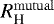 $R_{\textrm{H}}^{\mathrm{mutual}}$