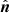 $ \hat{\boldsymbol{n}} $