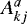 $A_{kj}^{a}$