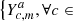 $ \left\lbrace Y^a_{c,m}, \forall c \in\right. $