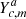 $ Y^a_{c,m} $