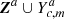 $ {\boldsymbol{Z}}^a \cup Y^a_{c,m} $
