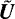 $\tilde{\vec{U}}$