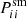 $ P_{ii}^{\mathrm{sm}} $