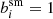 $ b_i^{\rm sm}=1 $