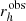 $ r_{h}^{\mathrm{obs}} $